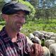 Venu des Alpes-de-Haute-Provence, Franck Mora a passé la saison estivale sur le plateau de Millevaches, auprès d'un troupeau de brebis comme sept autres bergers.