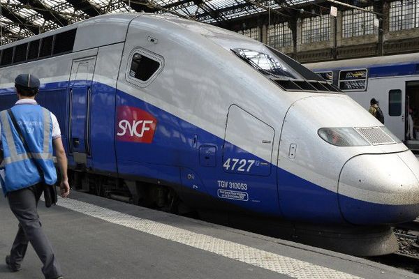 Un TGV à l'arrêt à la Gare de Lyon, à Paris en juin 2014.