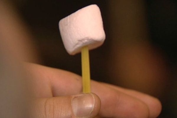 Le challenge du marshmallow au stage d'agilité