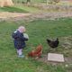 La petite Garence en compagnie de ses poules.