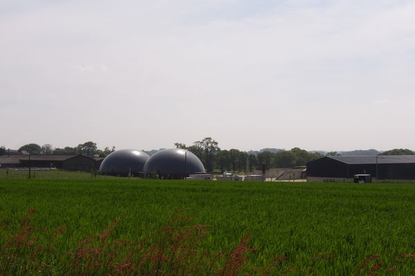 La bataille du gaz laisse les agriculteurs sur le carreau.