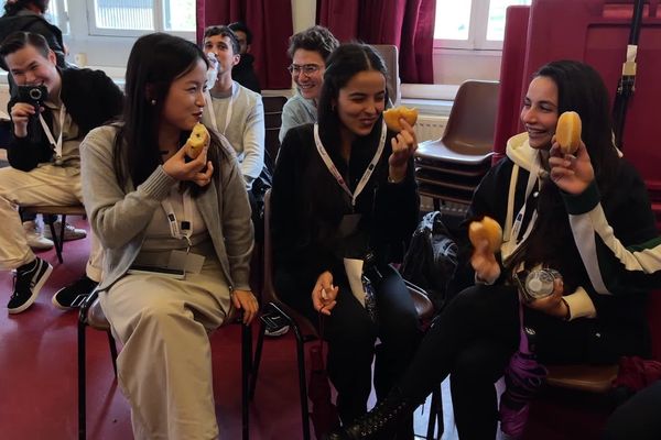 Limoges accueille près de 2500 étudiants étrangers