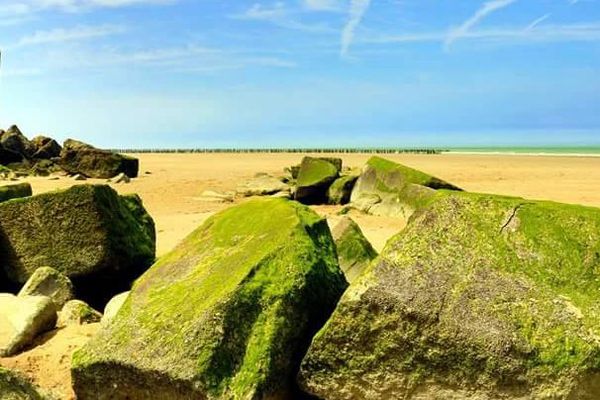 Oye-Plage le 24 mai