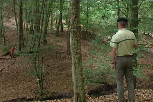 L'ONF gère les forêts