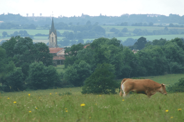 Le bocage est la carte postale de nos campagnes.