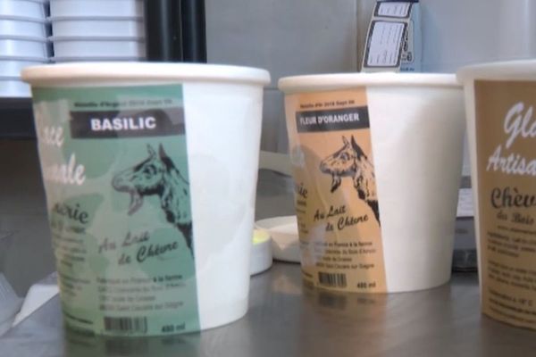 Alpes-Maritimes : ils vendent des glaces au lait de chèvre pour sauver leur ferme pédagogique