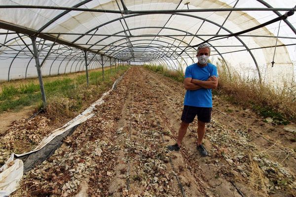 Terres sous serres saccagées début juillet au jardin de paradis.