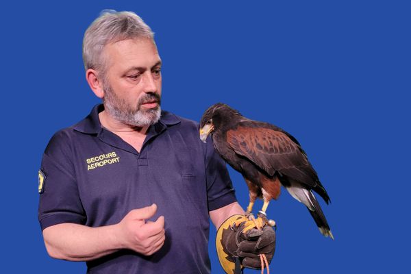 Anthony est effaroucheur, il éloigne les oiseaux des réacteurs d’avions à l'aéroport de Nantes