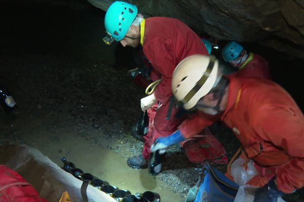 Faire vieillir des bouteilles de vin dans le lit d’une rivière souterraine, c’est le pari d'une cave coopérative du Minervois à Cabrespine et son gouffre géant. Viticulteurs et spéléologues s'étaient donnés rendez-vous pour immerger 111 bouteilles au fond.