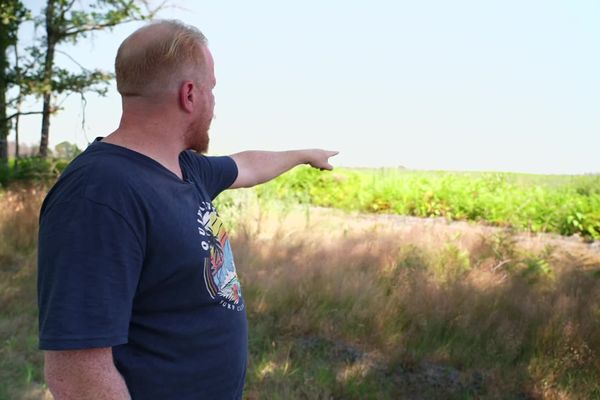 Cet habitant de Guillos surveille tout comportement suspect, craignant un nouveau départ de feu. Autrefois, la parcelle qu'il désigne du doigt était recouverte de forêt.