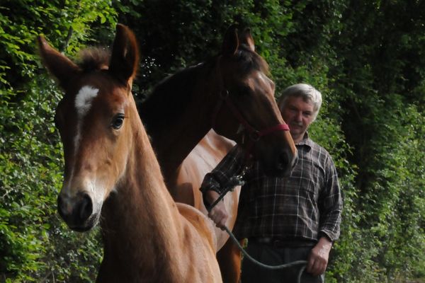 Elevage de trotteurs de Michel (sur la photo) et Josianne Dubief