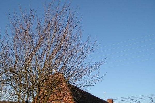 Le ciel du Nord ce matin à 8h