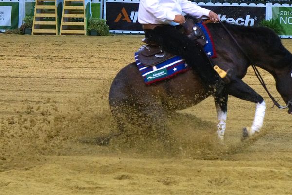 Romuald Poard, cavalier français finaliste en individuel de reining - Jeux Equestres Mondiaux 2014, Caen (France)