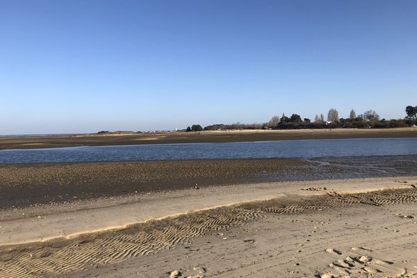 Les promenades seront très agréables ce week-end en forêt ou sur la plage (ici celle ce la Hume à Gujan Mestras).