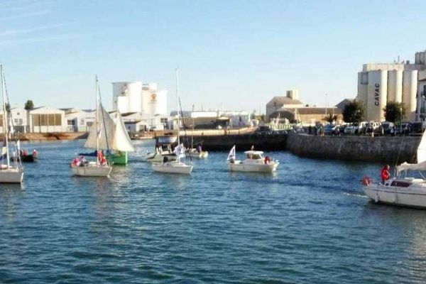 Les Sables d'Olonne, 800 bateaux pour un anniversaire