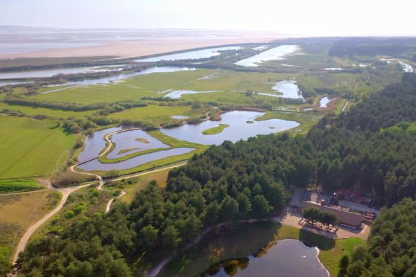 Vue aérienne du parc du Marquenterre