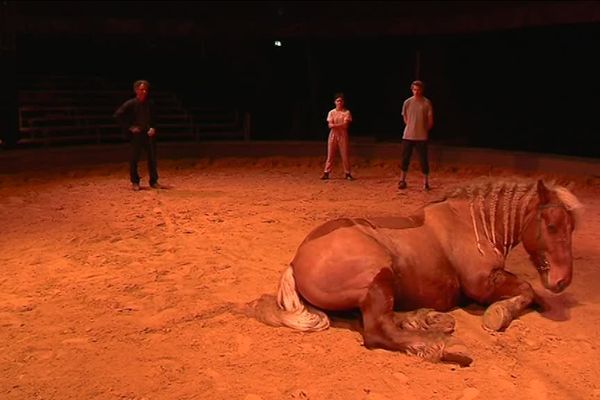 Pendant un mois à Périgny, Manu Bigarnet anime des ateliers en compagnie de Gabin, son cheval et compagnon.