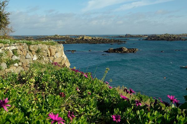 Dans l'archipel de Chausey