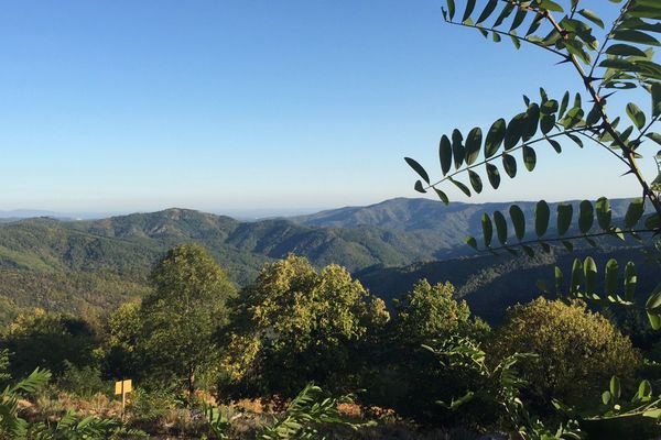 Le Parc national des Cévennes est un territoire rural de moyenne montagne, faiblement peuplé avec une nature encore préservée.