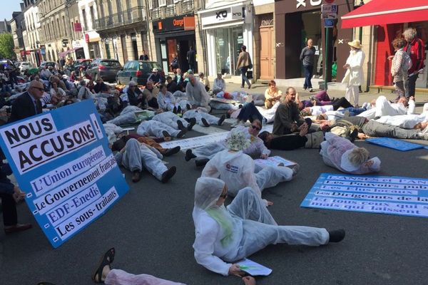 Environ 250 personnes dans la mobilisation anti-Linky à Pontivy