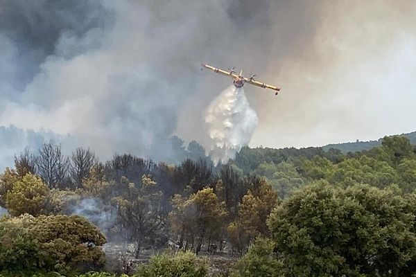 Aignes (Hérault) - 150 pompiers et 4 Canadair luttent contre les flammes - 22 juillet 2022.