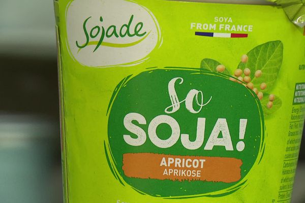 Sojade : la marque sojasun de boisson végétale bio à destination du marché britannique.