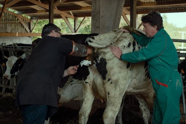 François Cluzet dans le film "Normandie nue" tourné dans le Perche au printemps dernier