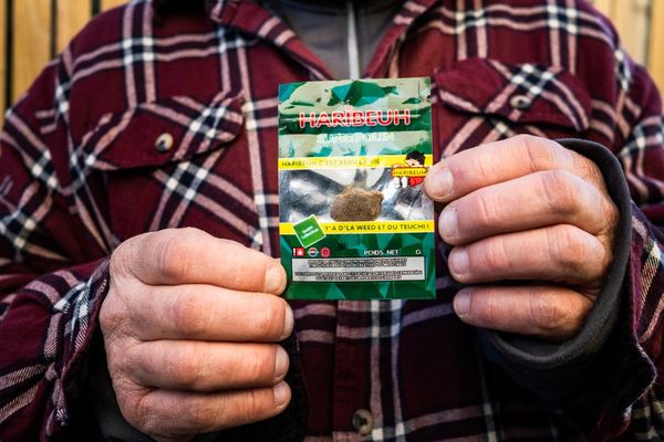 Les trafiquants imitaient de grandes marques, notamment de confiserie, pour vendre de la drogue.