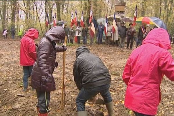 Sous la pluie, les enfants ont planté des petits chênes qui deviendront grands 