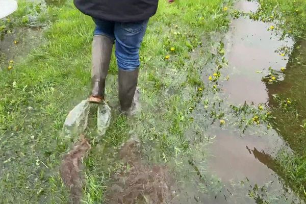 Une pluie incessante depuis le début de l'hiver dernier, et des champs inondés