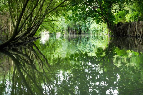 Le Marais Poitevin, une merveille de la nature.