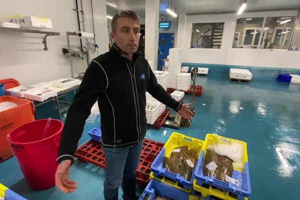 Eric Guivarch, mareyeur inquiet pour son activité après l'interruption de la pêche dans le Golfe de Gascogne