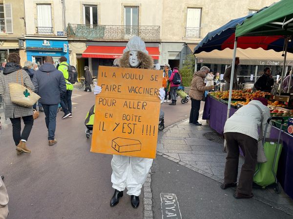 Masked demonstrators held up signs against vaccination in the Halles market in Dijon this Friday, November 12.