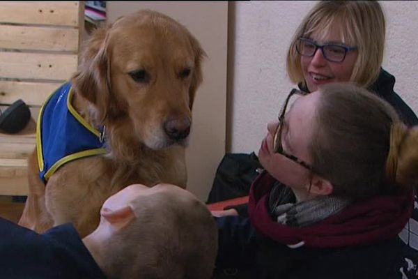 A l'IME de Saint-Hilaire-le-Châtel, les enfants ont rapidement adopté Joker