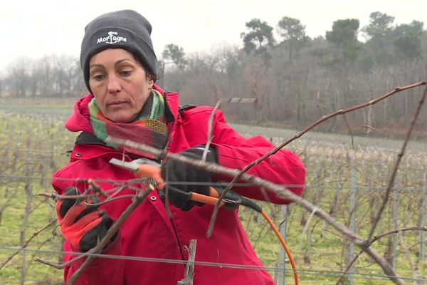 Aurélia est vigneronne en Gironde, comme sa mère, grand-mère et arrière grand-mère avant elle !