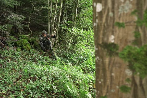 Martin Morel s'évade en Chartreuse, un de ses terrains de jeux préférés pour pratiquer sa passion, la photo animalière.