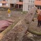 Il y a 25 ans, les tempêtes Lothar et Martin ravageaient le pays les 26, 27 et 28 décembre 1999. Resté en mémoire comme “la tempête du siècle”, les dégâts dans la région furent considérables dans le Rhône et la Loire.