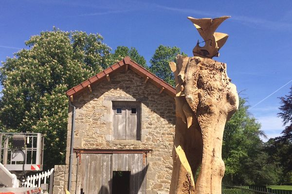 l'arbre aux oiseaux à Veyrac (87)