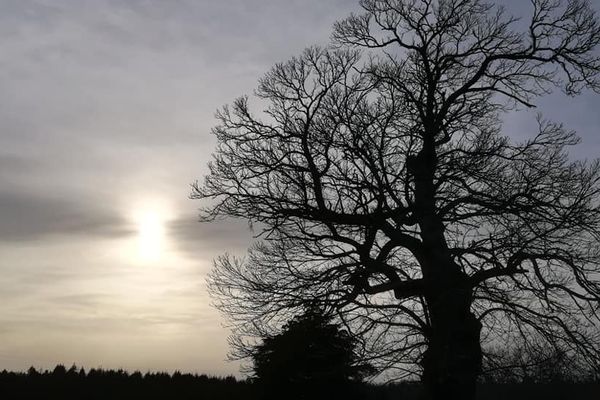 Un ciel voilé aujourd'hui.