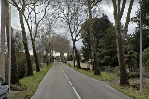 L'accident a eu lieu dans la nuit de samedi à dimanche, à une heure du matin, sur cette route à la sortie d'Albi (Tarn).