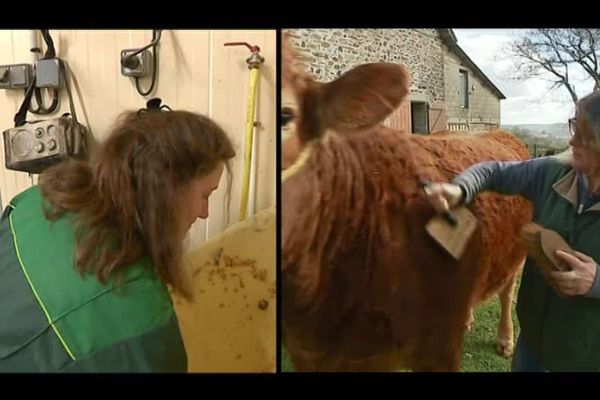 Christelle Roulet et Armelle Mestre, deux éleveuses limousines au salon de l'agriculture