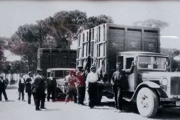 1933, les toros de Raso de Portillo en partance pour Bordeaux