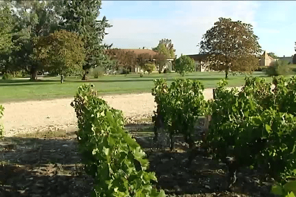 La maison qui devait accueillir une école privée se situe trop près des vignes