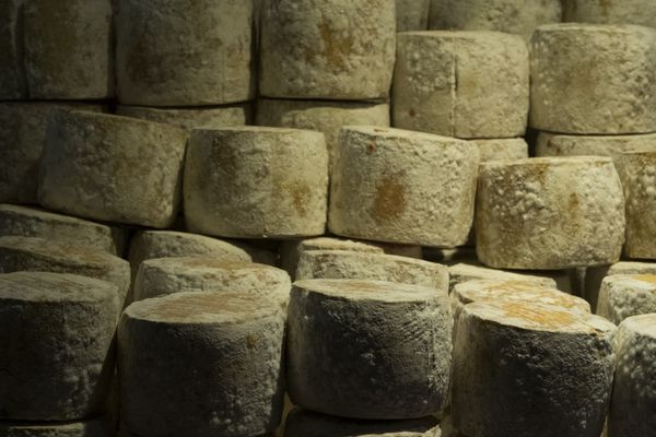 De la tomme de brebis corse, commercialisée sous deux marques, est rappelée depuis le 19 novembre dernier.