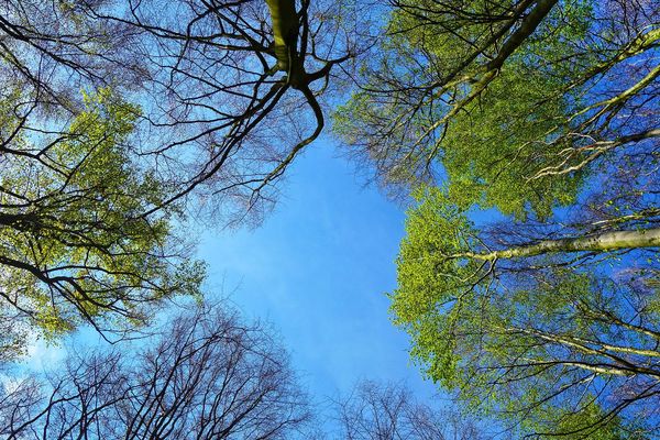 Le ciel sera-t-il bleu aujourd'hui ? 