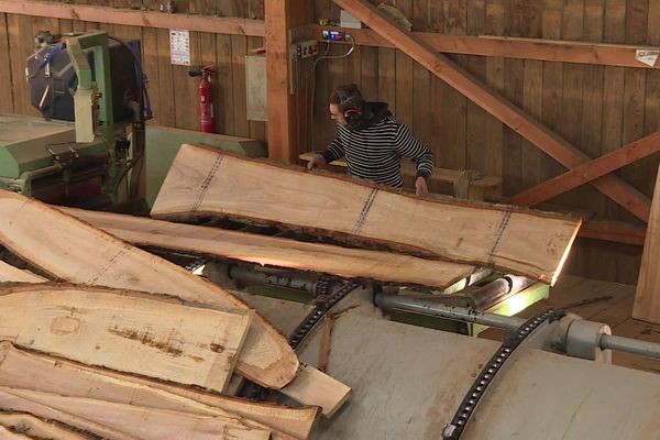 Pour fournir une partie des poutres de la charpente de la cathédrale, la scierie corrézienne a débité une vingtaine de chênes centenaires en provenance de l'Allier.