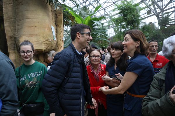 La rupture semble désormais totale entre Rodolphe Delord, le directeur du Zoo de Beauval, et sa soeur ainée Delphine, licenciée pour faute grave.