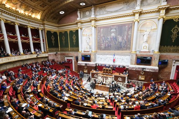 L'assemblée nationale a adopté dans la nuit de jeudi à vendredi 14 février 2020 une proposition de loi sur la promotion des langues régionales