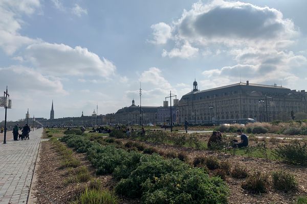 Quais de Bordeaux vendredi 5 mars dans l'après-midi