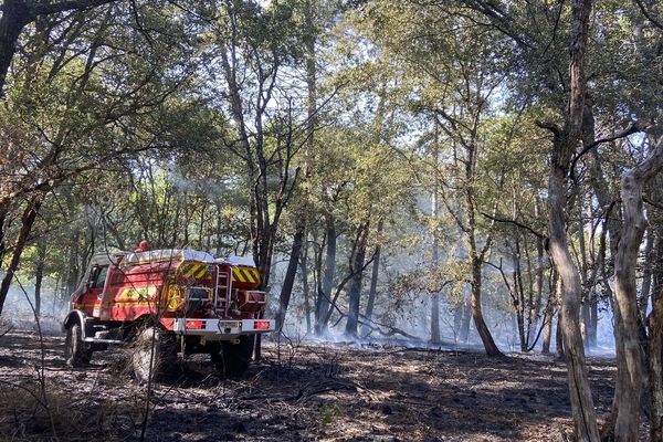 A Soulac, 30 hectares et à Vensac près de 100 hectares étaient partis en fumée.